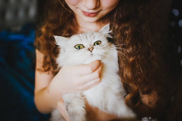 National Pet Day 2023: Celebrating Our Fur Friends 2023