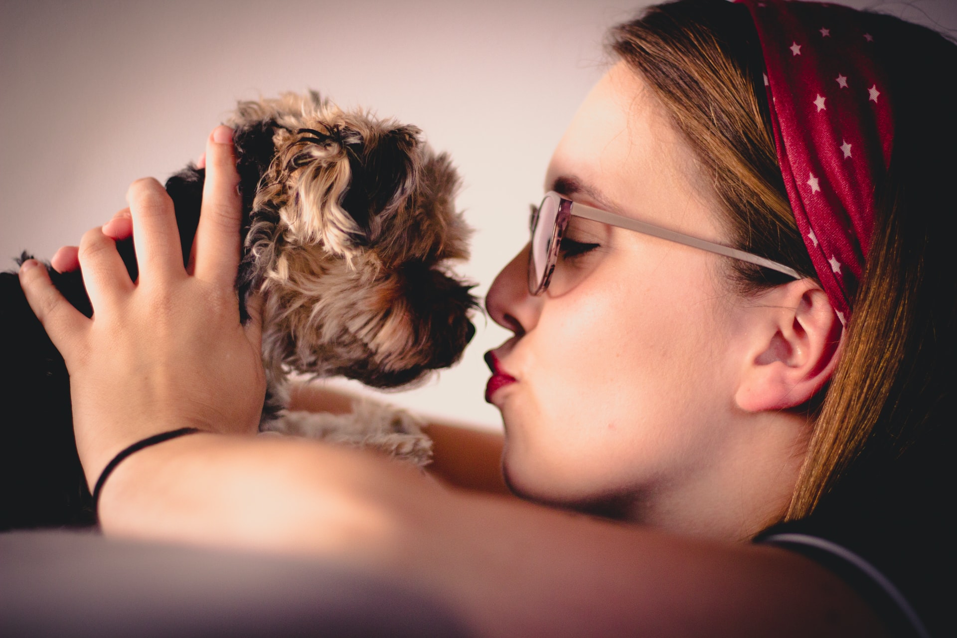 Why Do Dogs Lick You? – Is It Just Because They Love You? – There Are Many Reasons Behind It!￼