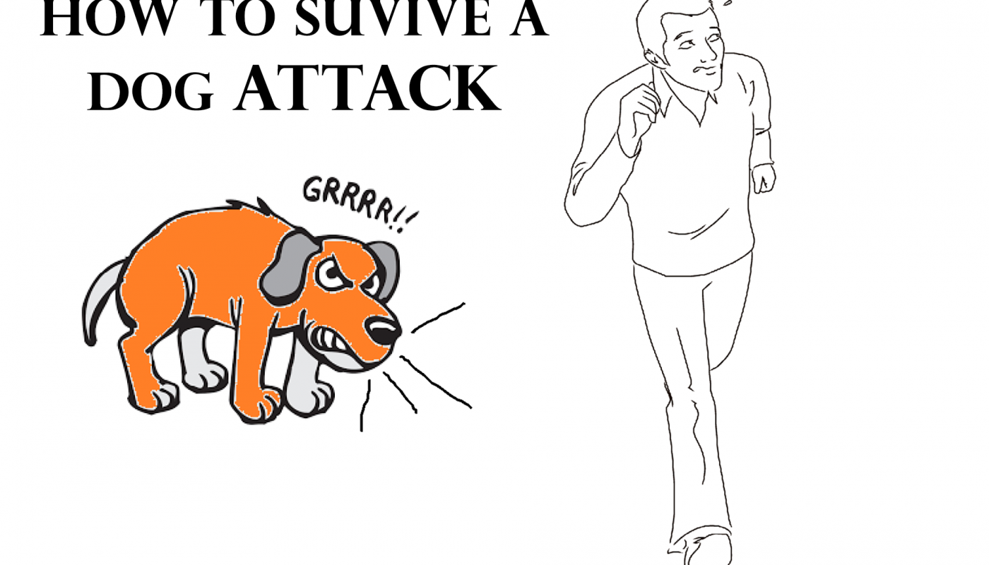 How to survive a dog attack