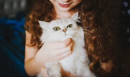 National Pet Day 2023